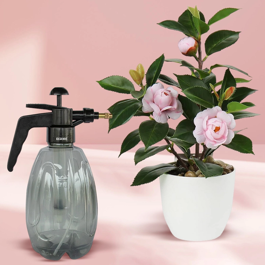 Flowering Camellia Plant in a stylish plastic pot with a water spray, showcasing vibrant blooms and green foliage, set against a festive background.