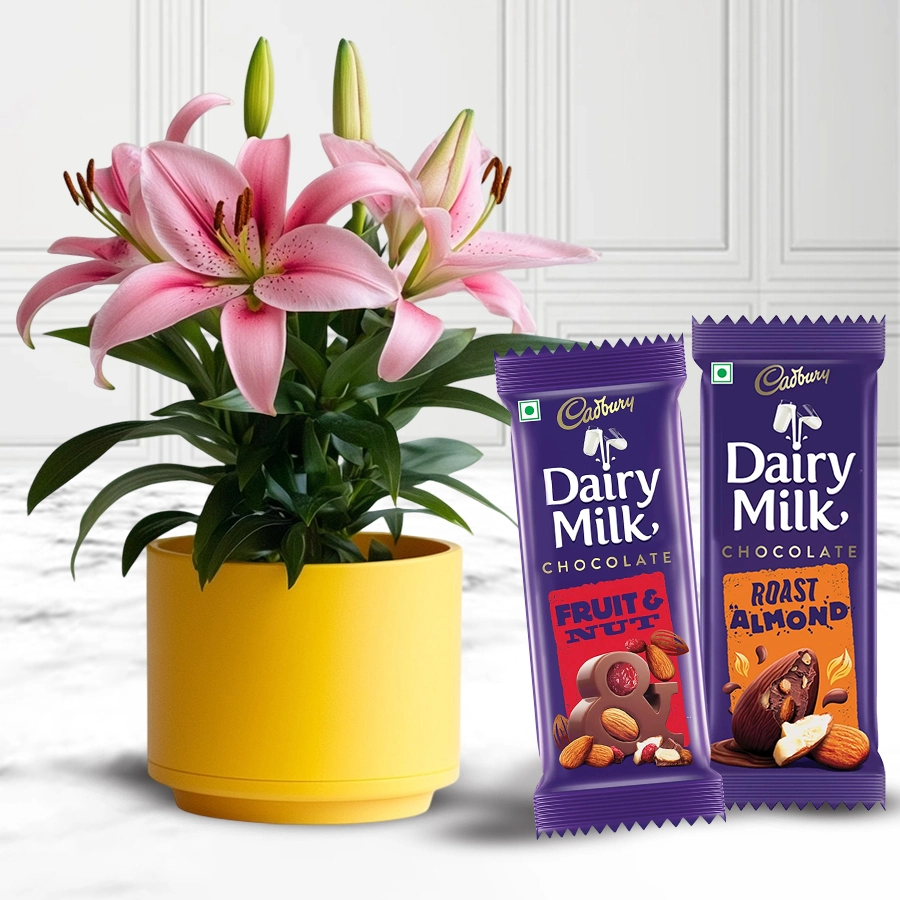 Fancy Xmas gift set featuring a live lily plant in a yellow pot alongside Cadbury Dairy Milk chocolates, including Roast Almond and Fruit & Nut bars.