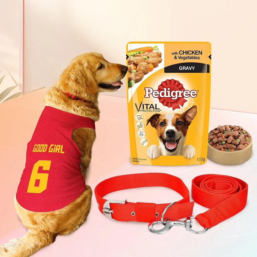 Enticing Xmas Gift Set featuring Pedigree Dog Food, a nylon collar with leash, and a Ruse Pet Good Girl vest