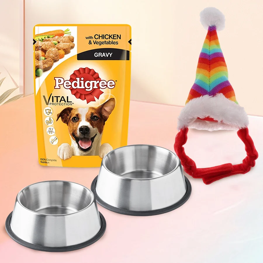 Merry Christmas gift set featuring pet food pouch, stainless steel feeding bowls, and a rainbow cotton cap.
