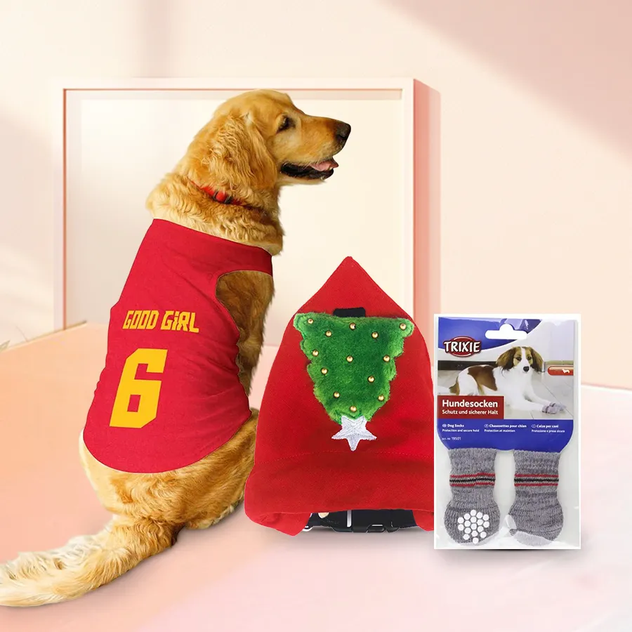 Dog wearing a stylish tuxedo with an adjustable collar and socks, surrounded by festive decorations.