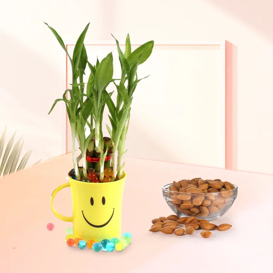 Happiness Galore gift set featuring a Lucky Bamboo plant, a smiley coffee mug, and a package of almonds on a bright background
