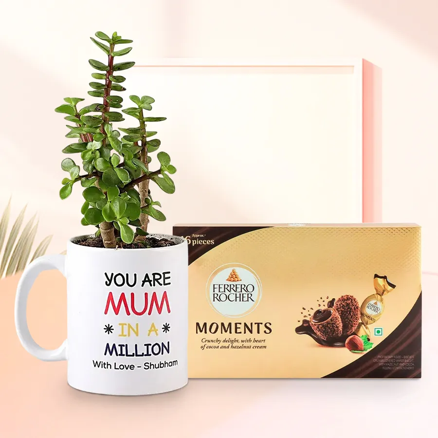Impressive jade plant in a personalized mug next to a luxurious 16-piece Ferrero Rocher Moments chocolate box