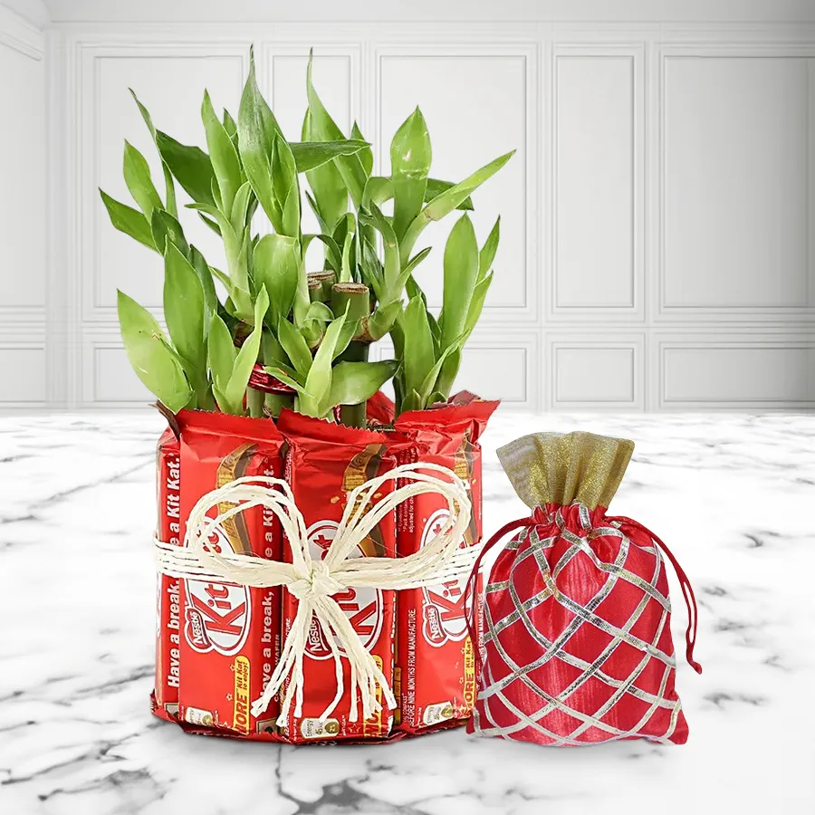 Trendy Bamboo plant arrangement with KitKat bunch, dry fruit potli, and Mother's Day card