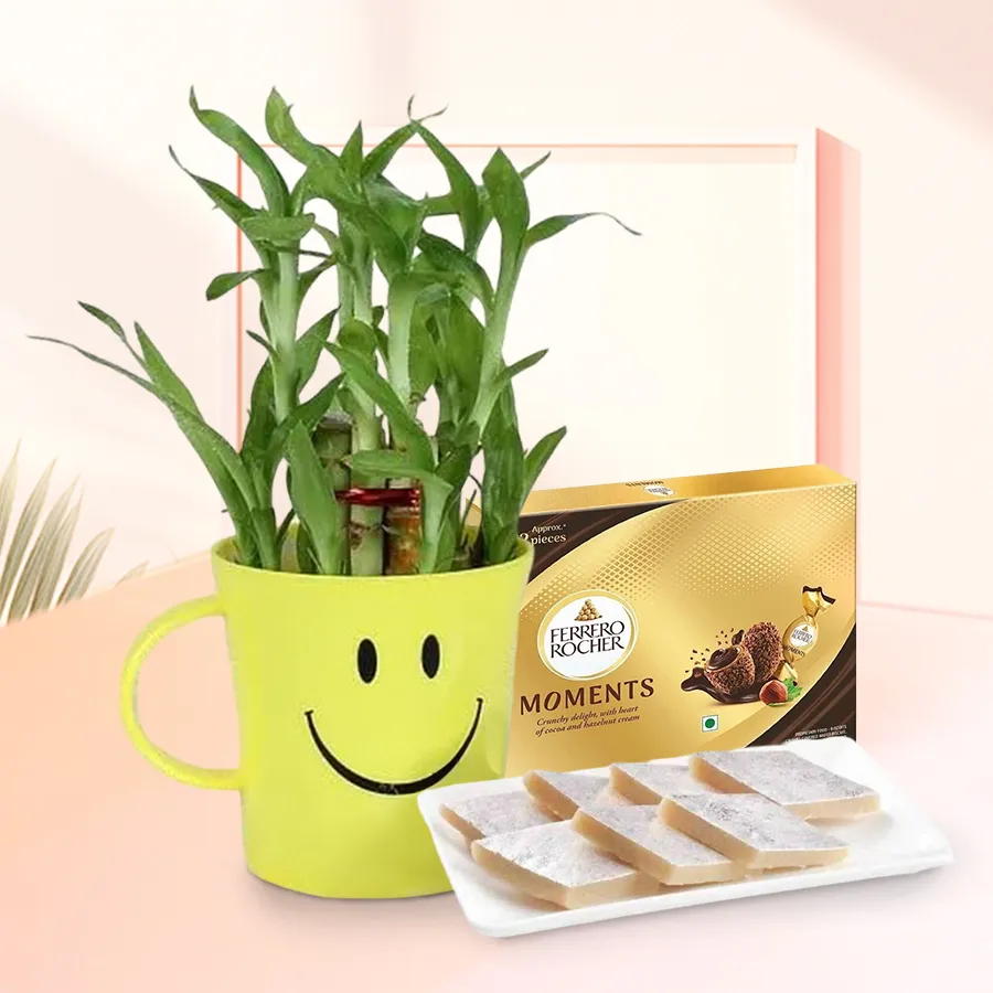 Green and Sweet Delights gift bundle featuring a Lucky Bamboo plant, Kaju Katli, and Ferrero Rocher chocolates