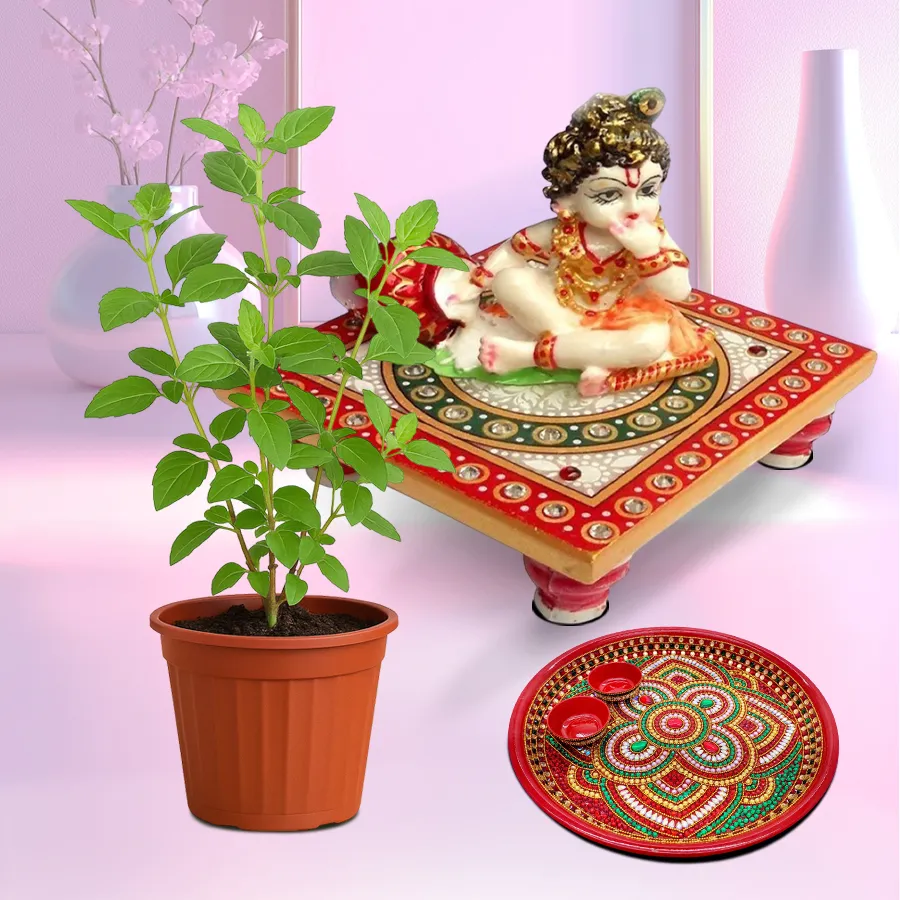 Devotional Puja Gift with Holy Tulsi Plant for Religious Mother