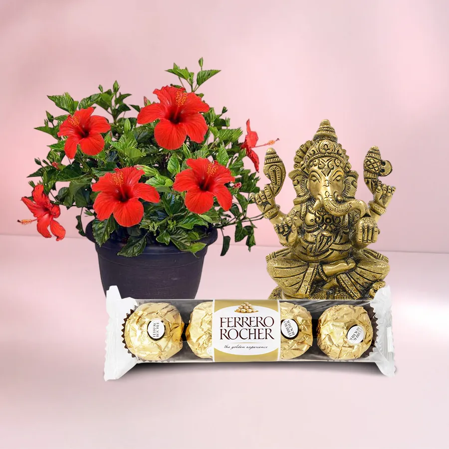 Flowering Hibiscus Plant with Ganesh Idol N Chocolate