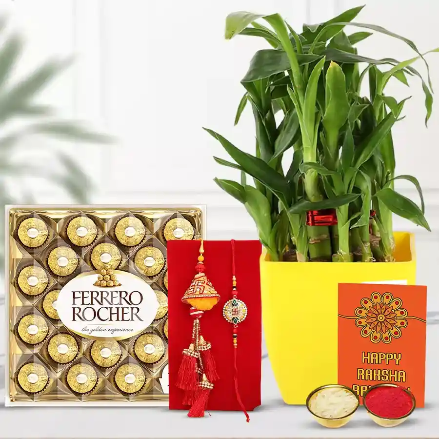 Lumba Rakhi with 2-tier bamboo plant collection and Ferrero Rocher chocolate box