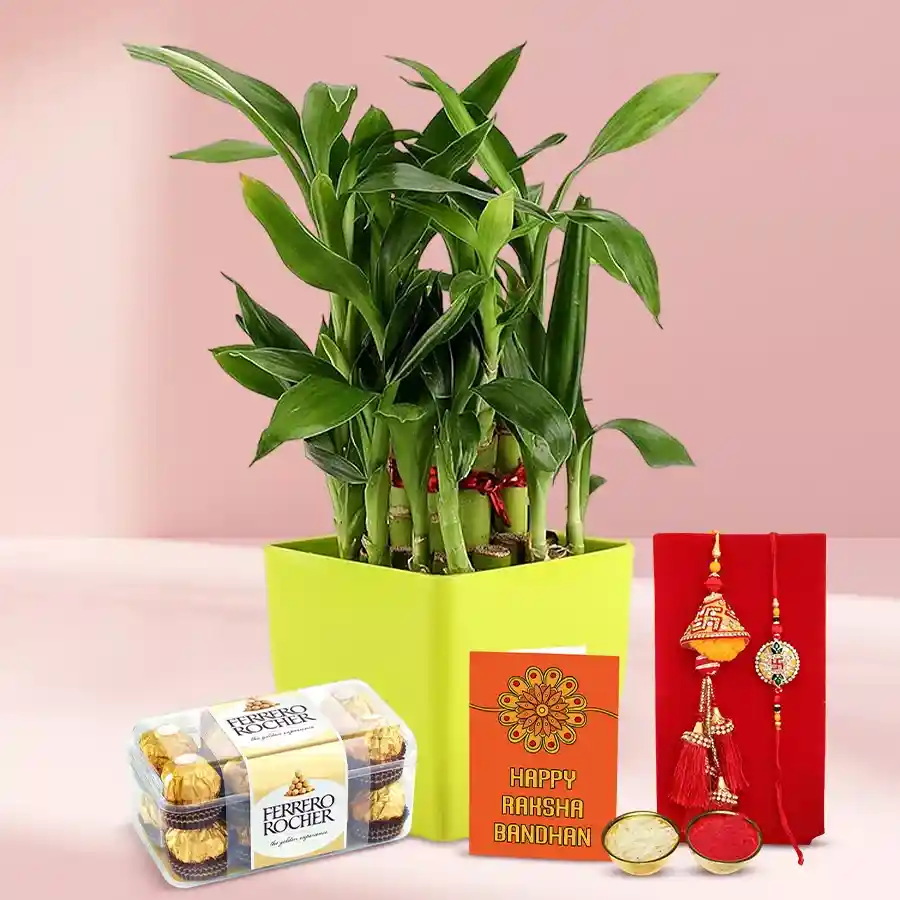 Stylish Lumba Rakhi N 2 Tier Bamboo Plant Arrangement