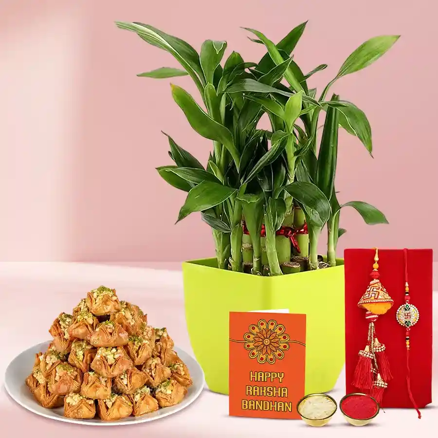 Trendy Lumba Rakhi N 2 Tier Bamboo Plant Combo