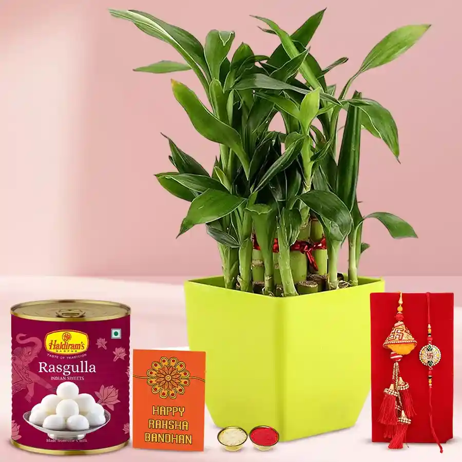 Admirable Combo of Lumba Rakhi N 2 Tier Bamboo Plant