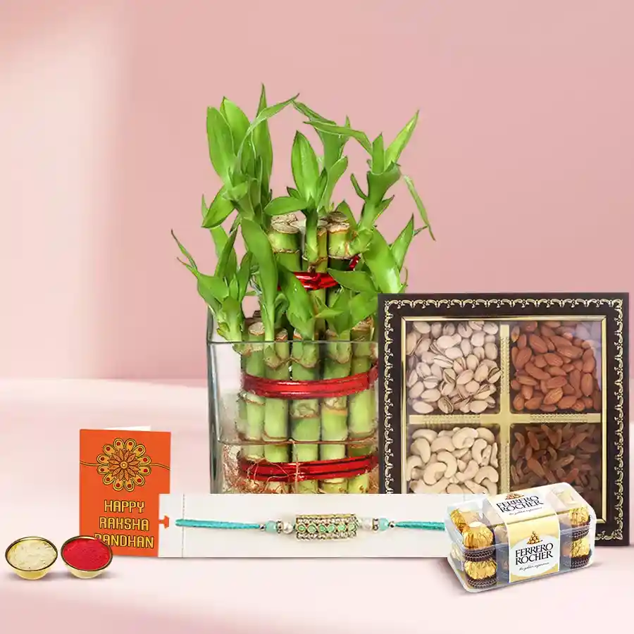 Elegant Rakhi N 2 Tier Lucky Bamboo Plant Arrangement