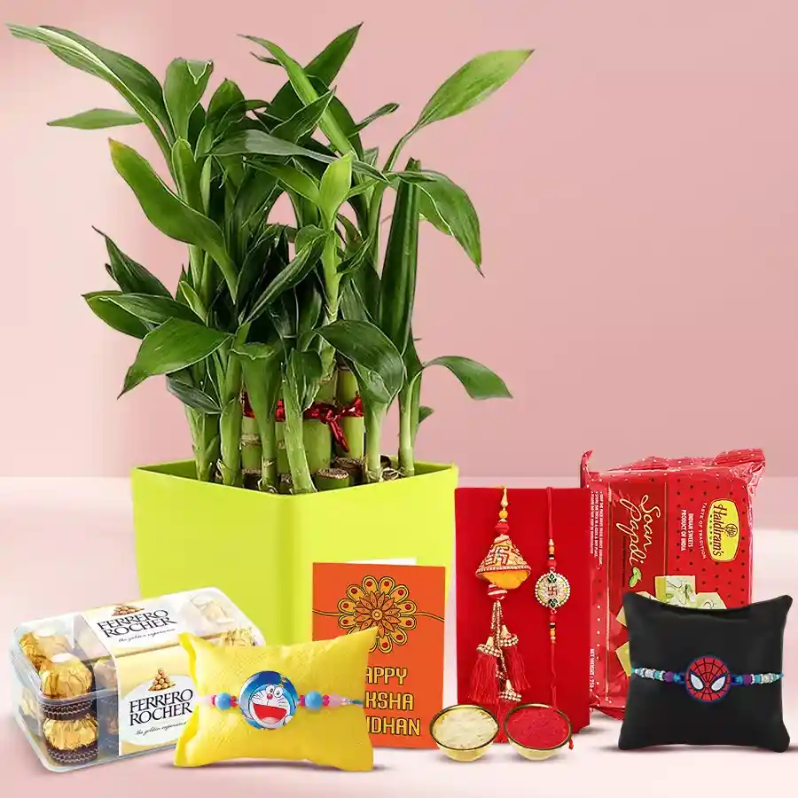 Classy Collection of Family Rakhi Set N 2 Tier Bamboo Plant