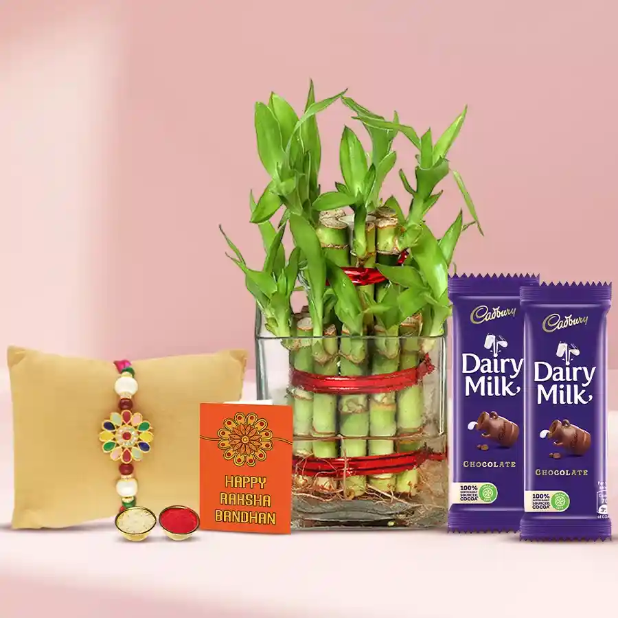 Pretty Rakhi with 2 Tier Bamboo Plant Combo