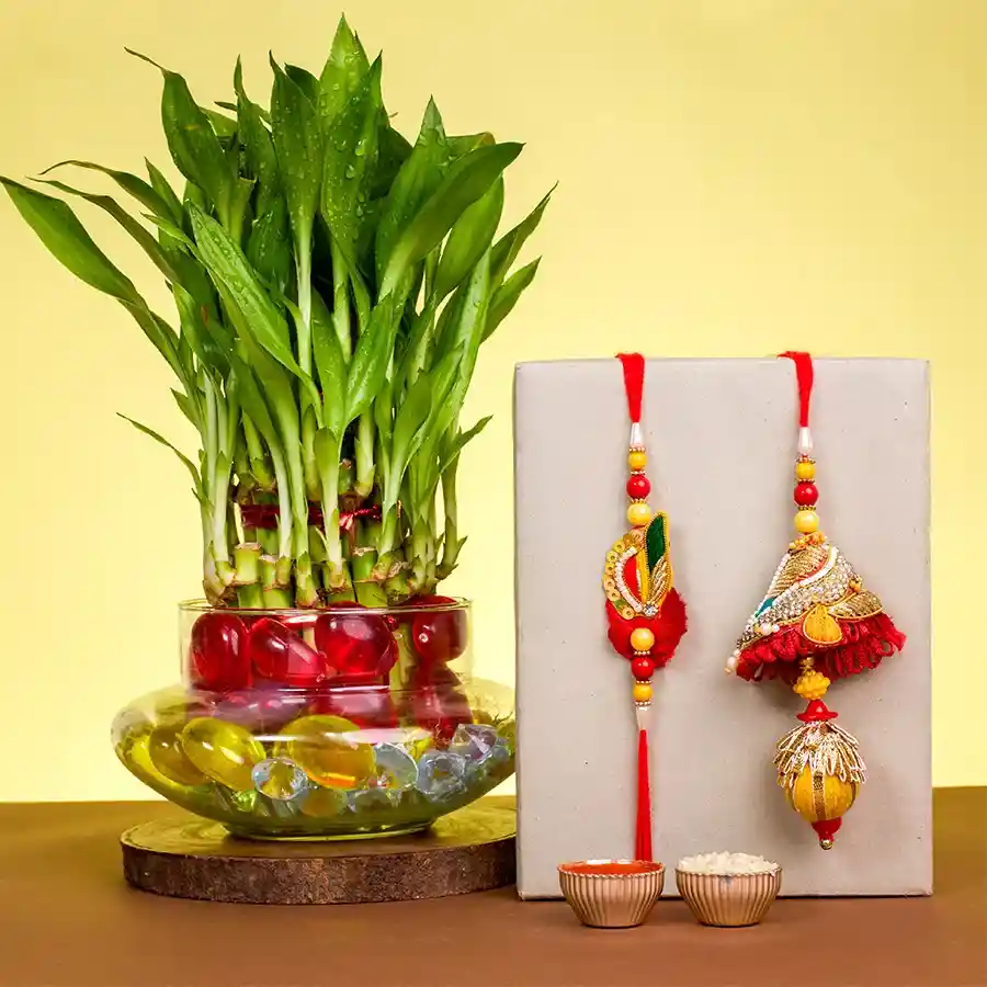 Intricate Zardosi Rakhi N Lucky Bamboo Blessings Set