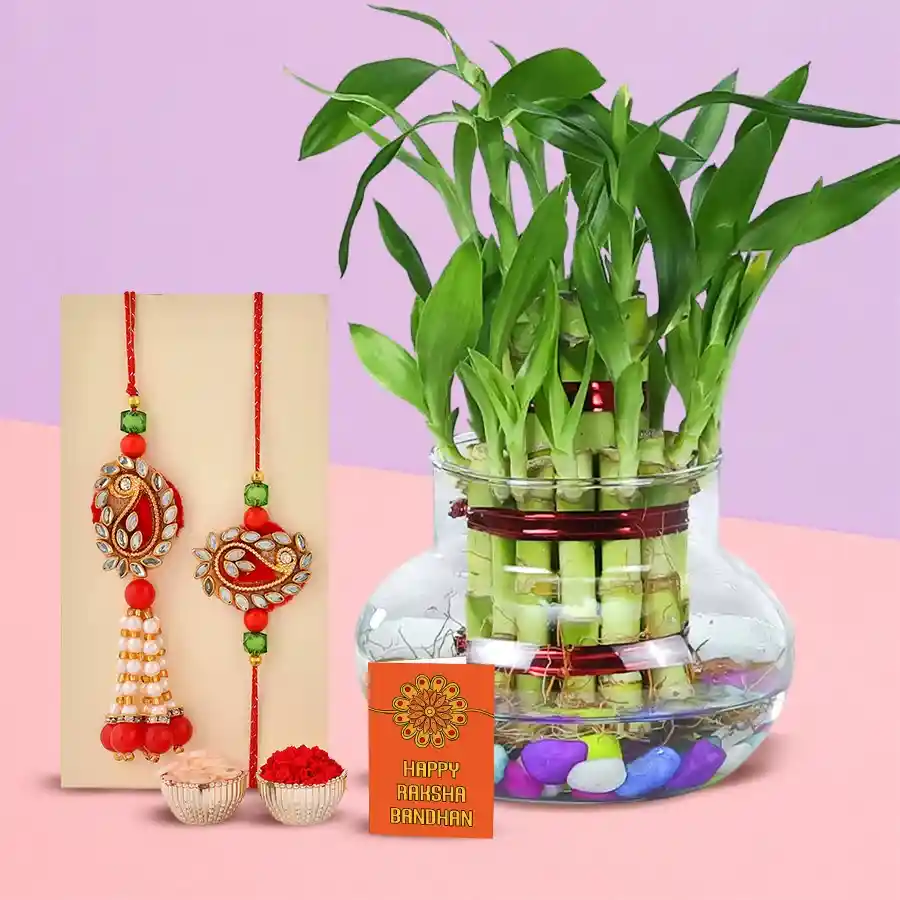 Lucky Bamboo Plant with Bhaiya Bhabhi Rakhi Set