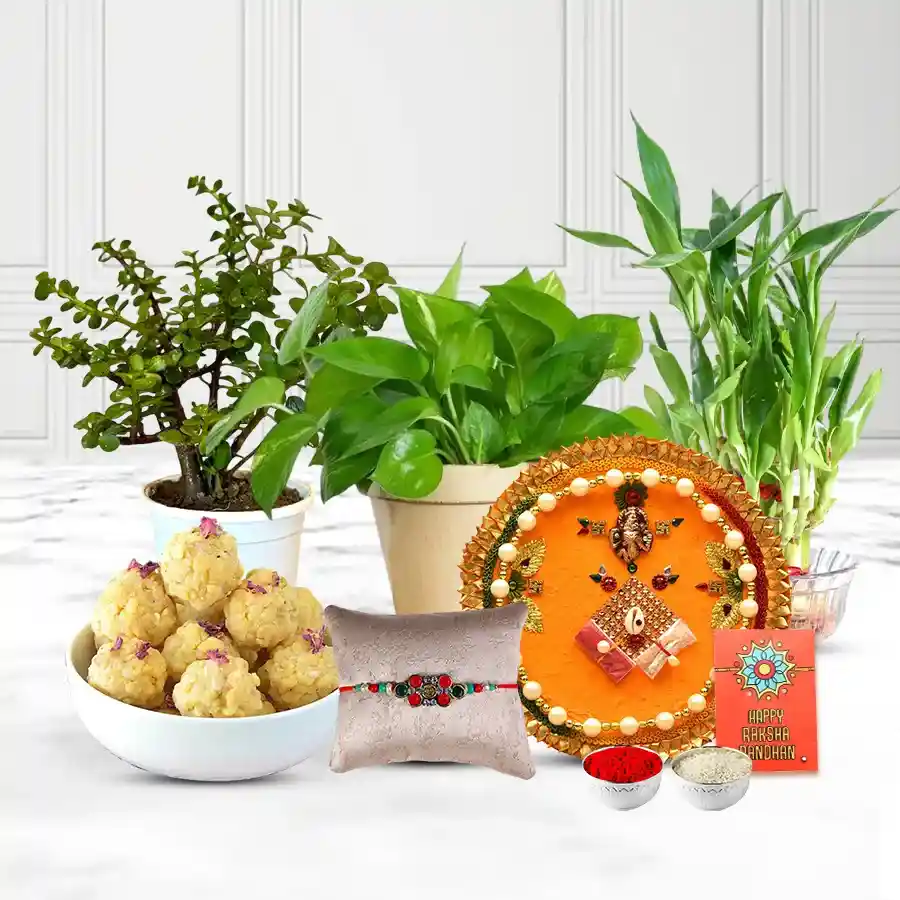 Eco Friendly Rakhi Gift for Brother