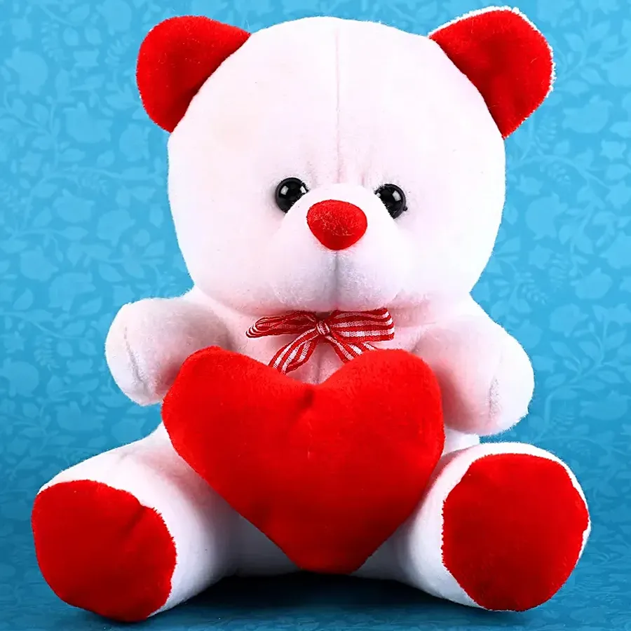 Wonderful Teddy Gift