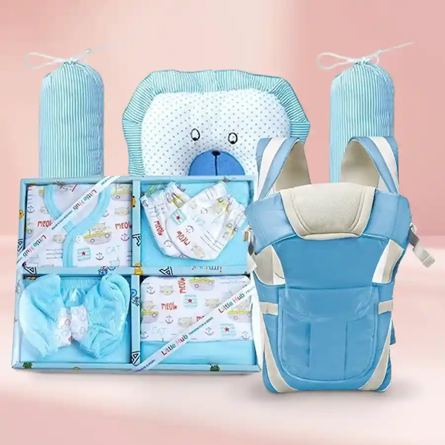 Adorable Baby Gift Set Bundle including clothing, pillows, and carrier in sky blue for infants. Perfect for newborns and baby showers.