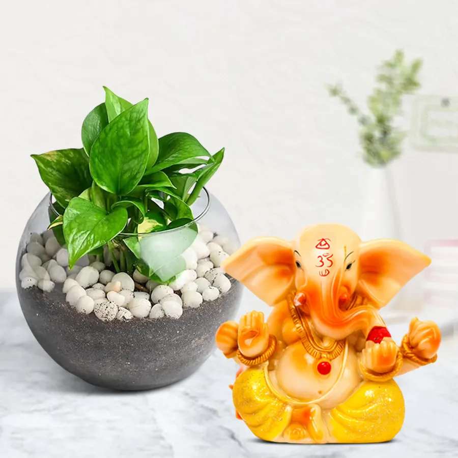 Lush Money Plant in a glass vase with Lord Vinayak Murti, symbolizing prosperity and blessings.
