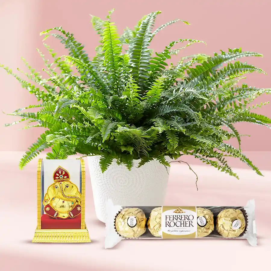 Lively Ganesh Gift Set featuring a Bostern Fern, Ganesh Murti statue, and Ferrero Rocher chocolates, perfect for gifting.
