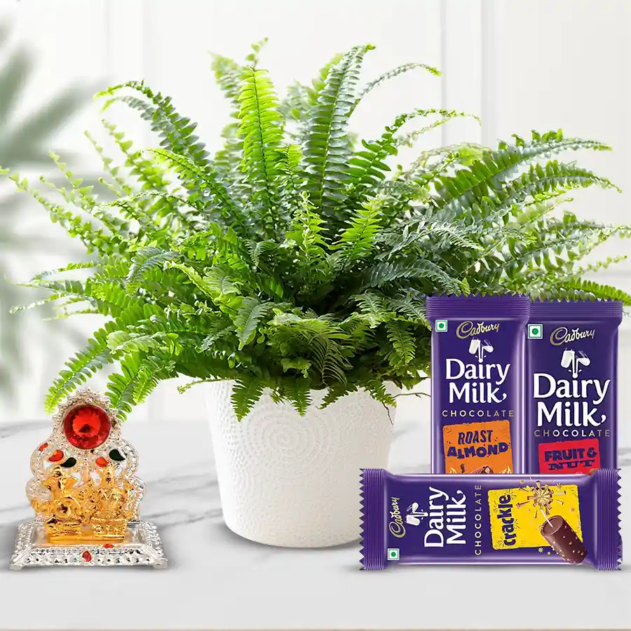 Serene Fern Plant with Laxmi Ganesh Mandap and chocolates in a gift hamper.