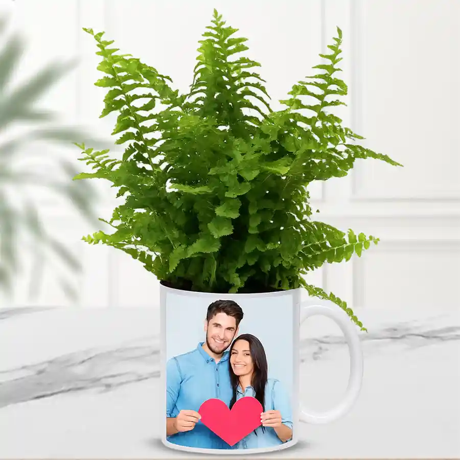A Bostern Fern plant displayed in a personalized coffee mug, ideal for gifting and indoor decoration.