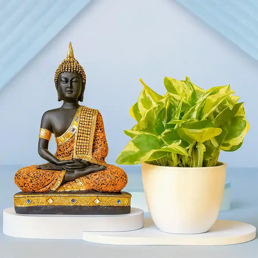 Air Purifying Golden Pothos Plant with Sitting Buddha Idol in a brown pot.