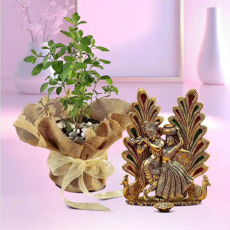 Divine Tulsi plant with jute wrap and metal Radha Krishna idol with peacock diya.