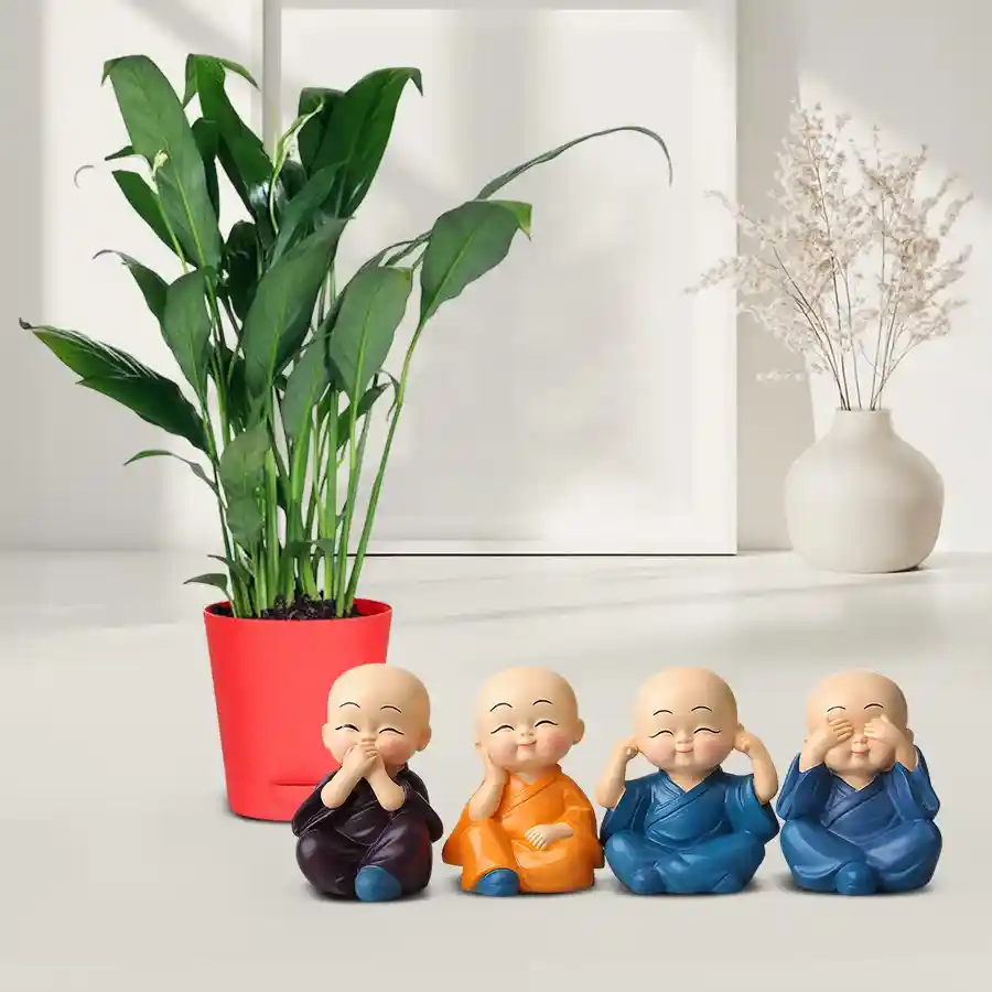 Gorgeous Peace Lily Plant with Baby Buddha Combo Set in red pot.