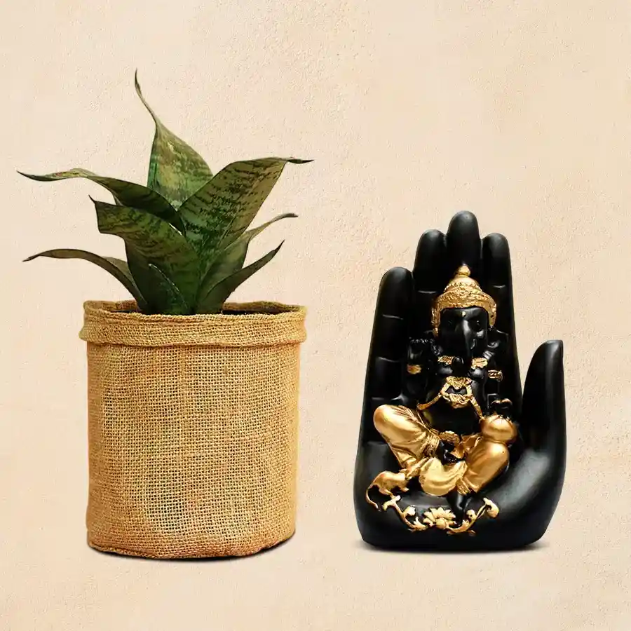 Jute Wrapped Snake Plant alongside a handcrafted Palm Ganesha Showpiece, ideal for gifting and home decor.