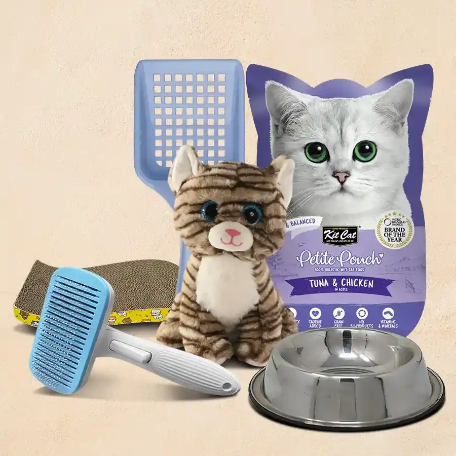 Purr-fect Kitten Care Gift Set containing toys, feeding essentials, and grooming tools for happy kittens.