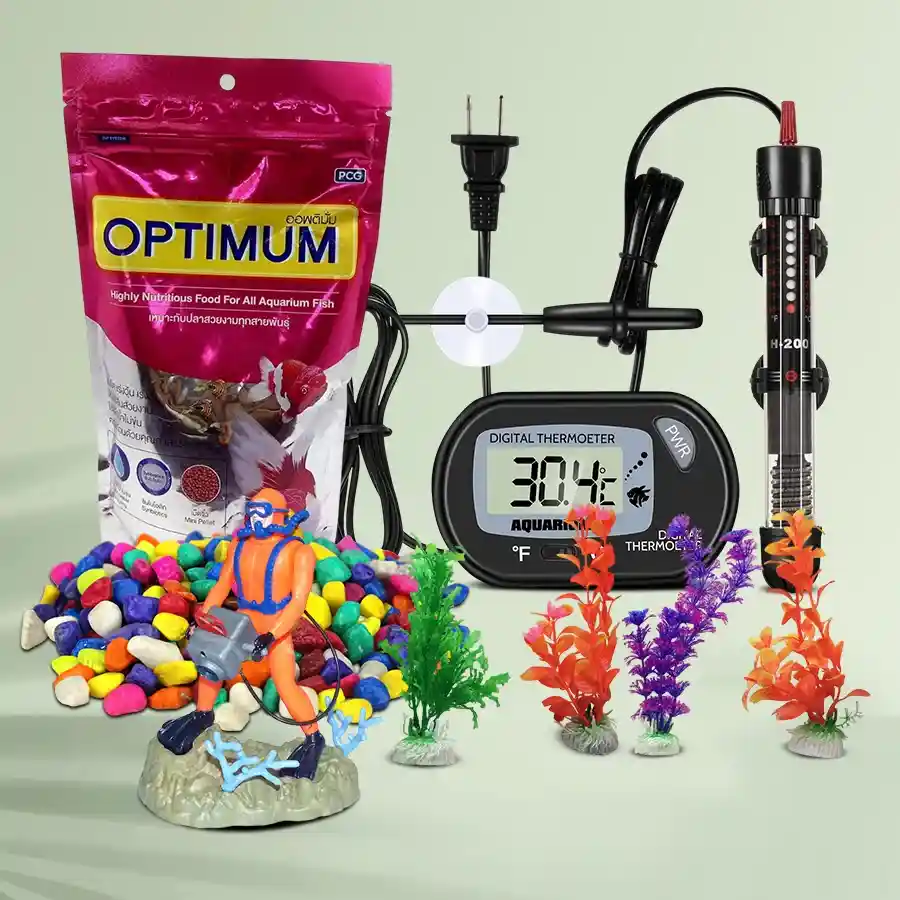 Cheerful gift hamper for aquarium managers featuring stones, plants, and more.