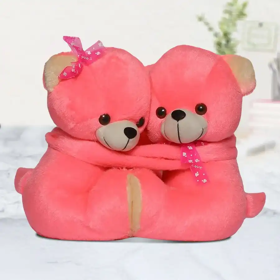Hugging Teddy Set featuring two cuddly teddy bears celebrating friendship and affection.