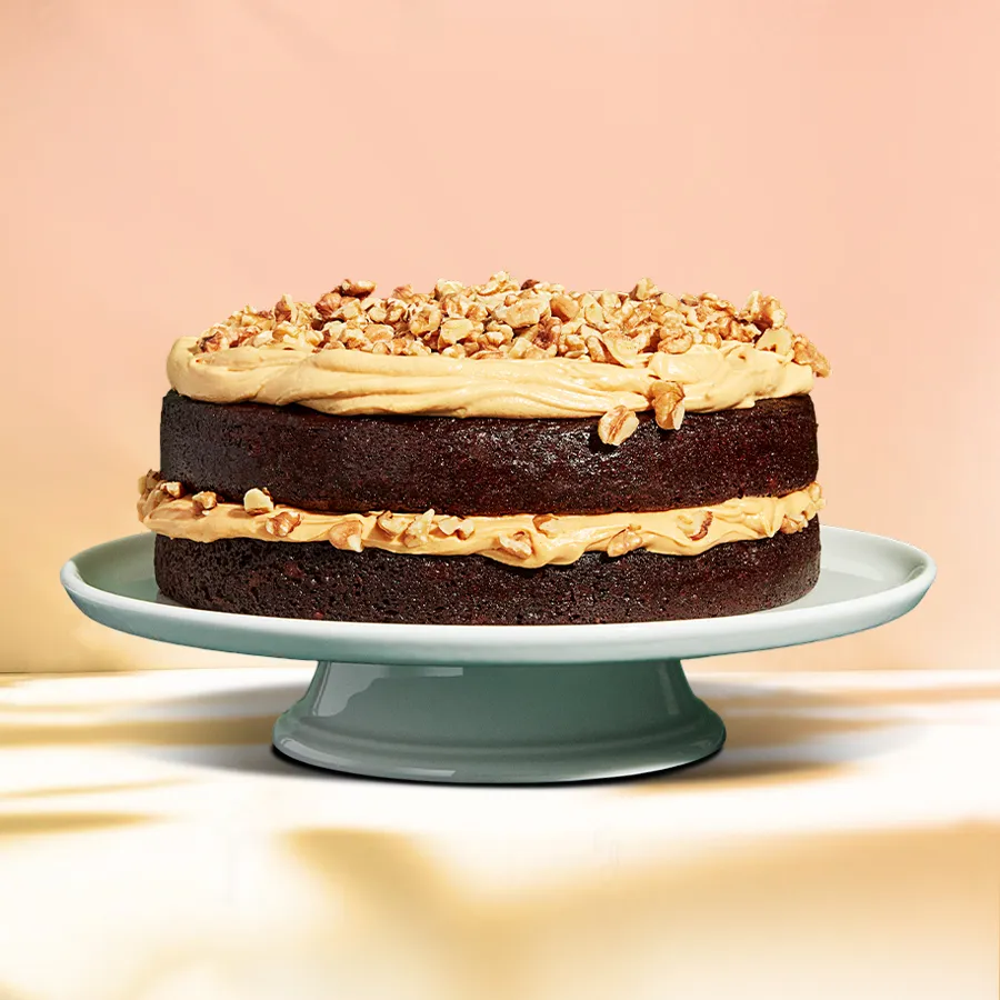 Irresistible Choco-Walnut Treat Cake, rich chocolate and walnuts.