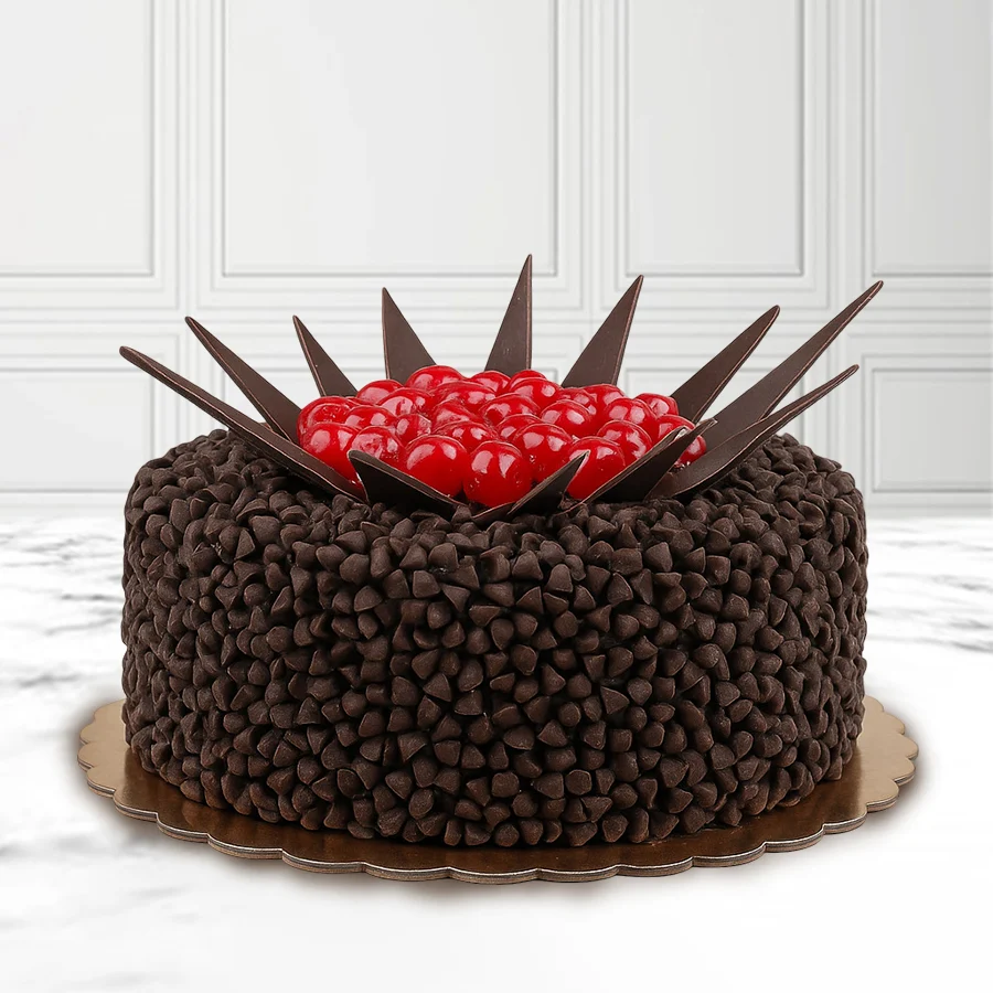 A 1/2 kg Assorted Choco Chips Cake, perfect for sharing love and sweet moments with close ones.
