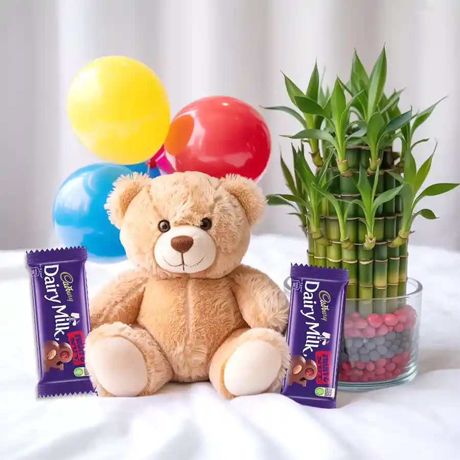 A vibrant celebration gift combo featuring a lucky bamboo plant, chocolates, a small teddy, and colorful balloons.