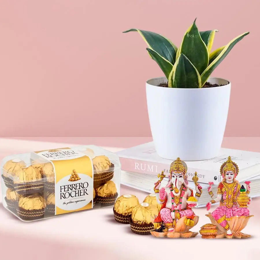 Ferrero Rocher chocolates with Ganesh Laxmi idol and Milt Sansevieria plant.