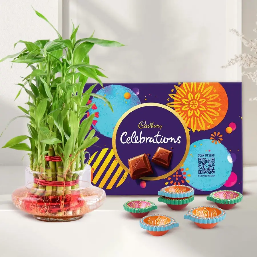 Diwali gift set featuring Cadbury chocolates and a 3 Tier Lucky Bamboo Plant in a glass pot.