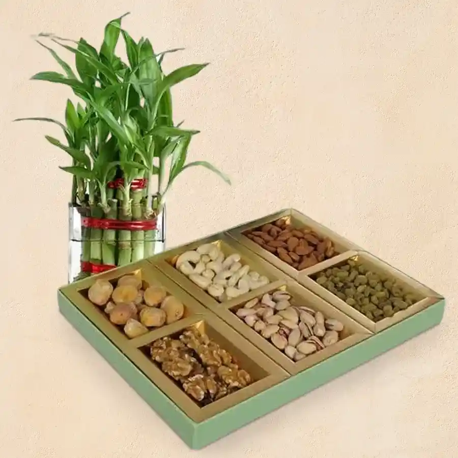 Mother's Day gift combo featuring dried nuts and a lucky bamboo plant for health and luck.