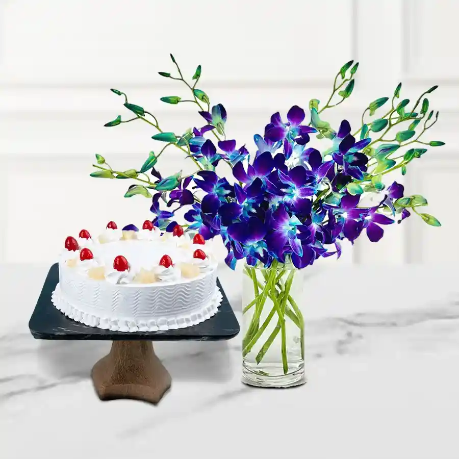 Beautiful display of 12 blue orchids in a vase with a square White Forest Cake, perfect for gifting and special occasions.