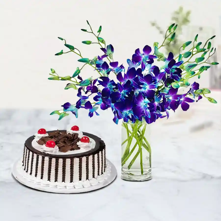 Cherishing Combo of Blue Orchids in Vase and Black Forest Cake