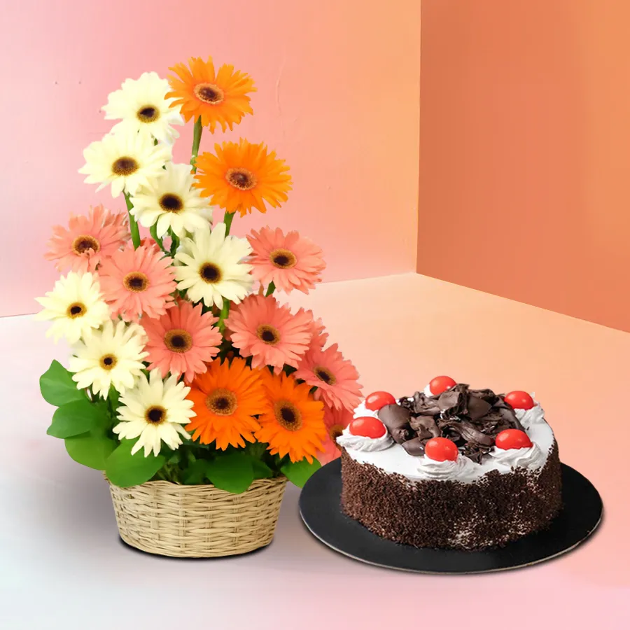 A vibrant bouquet of 15 assorted gerberas alongside a round Black Forest cake, perfect for celebrating special occasions.