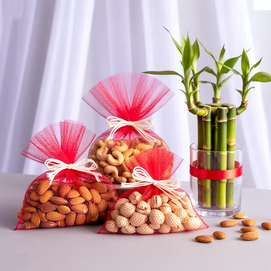 Gift combo featuring a two-tier bamboo plant and assorted dry fruits including almonds, cashews, and pistachios.