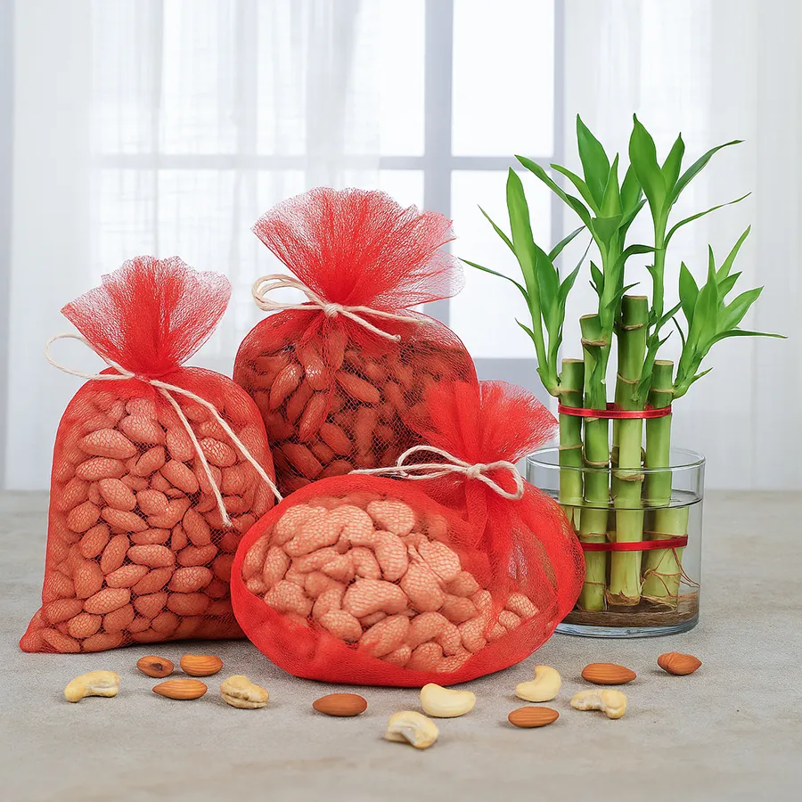 Attractive Lucky Bamboo plant in a glass vase with assorted dry fruits for gifting.