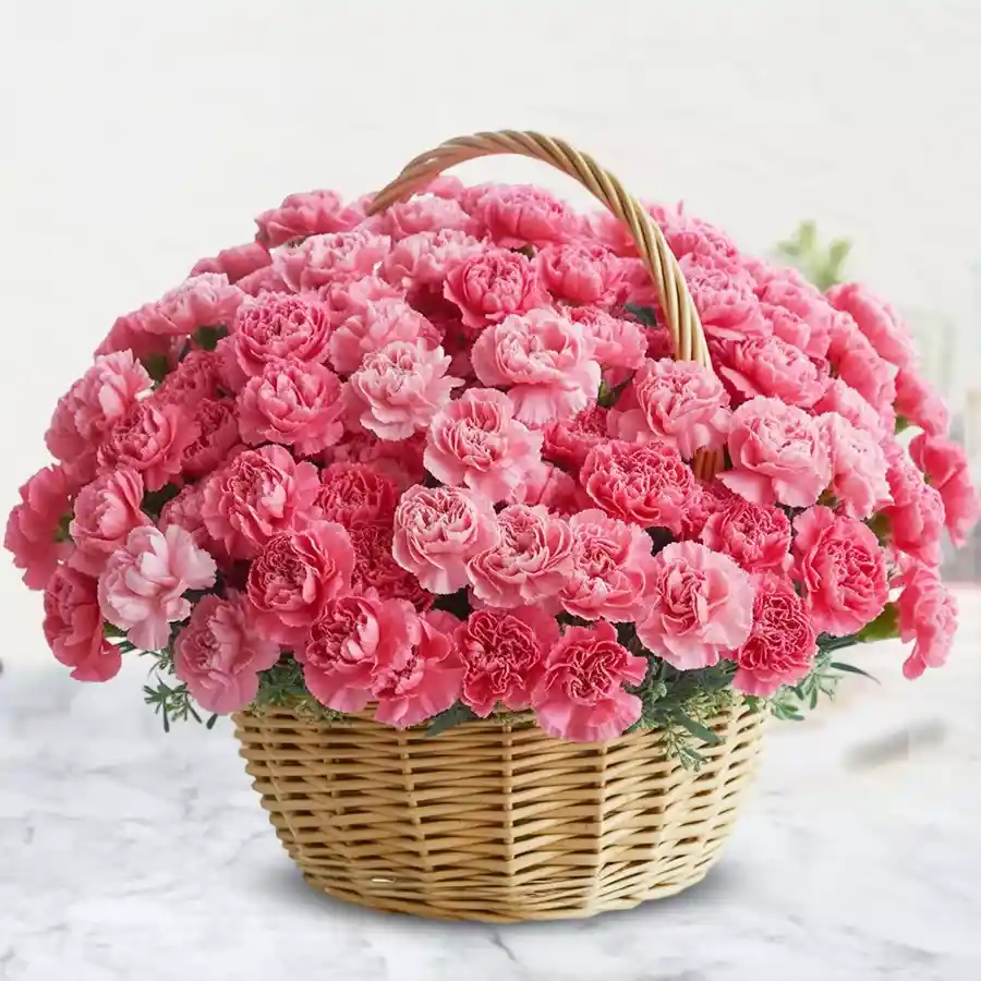 Exclusive Pink Carnation Basket featuring 30 pink carnations in a round handle basket.