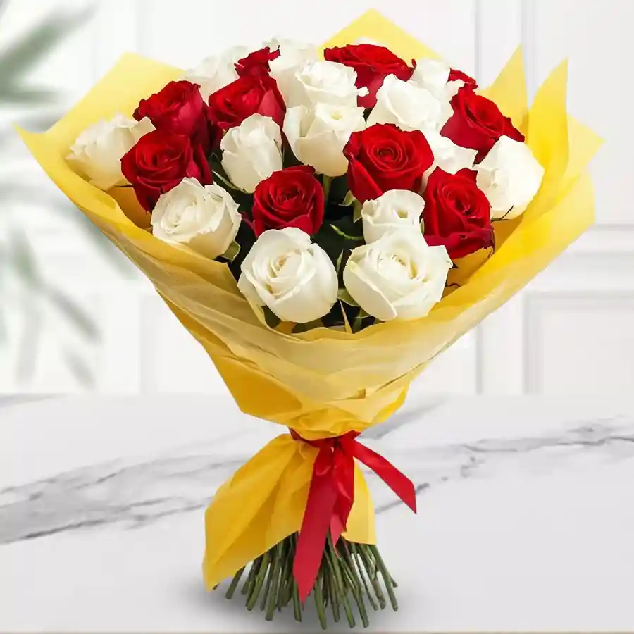 Premium bouquet featuring 30 vibrant red and white roses with chic ribbons and green leaves, perfect for celebrating a bride.