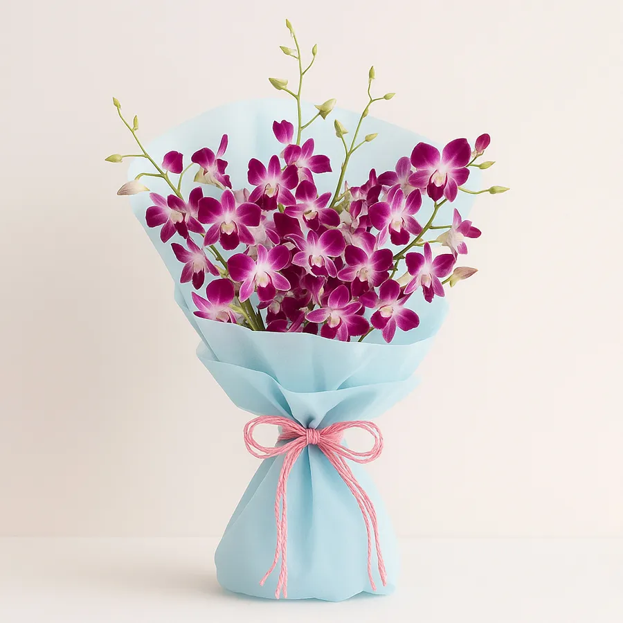Opulent Purple Orchid Collection for Gifts