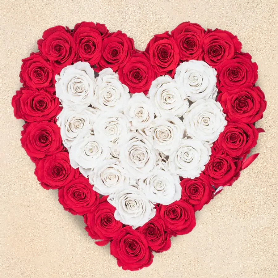 Heart-shaped arrangement of 36 red and white roses, symbolizing love and affection.