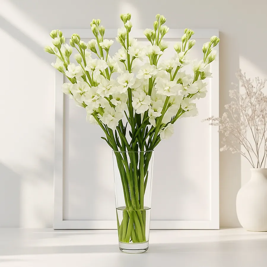 Timeless arrangement of 15 White Rajniganda sticks in a glass vase, exuding elegance and sophistication.